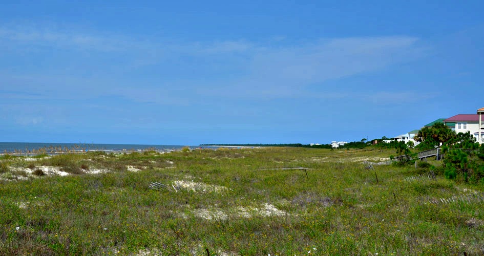 Cape San Blas grassy area near beach